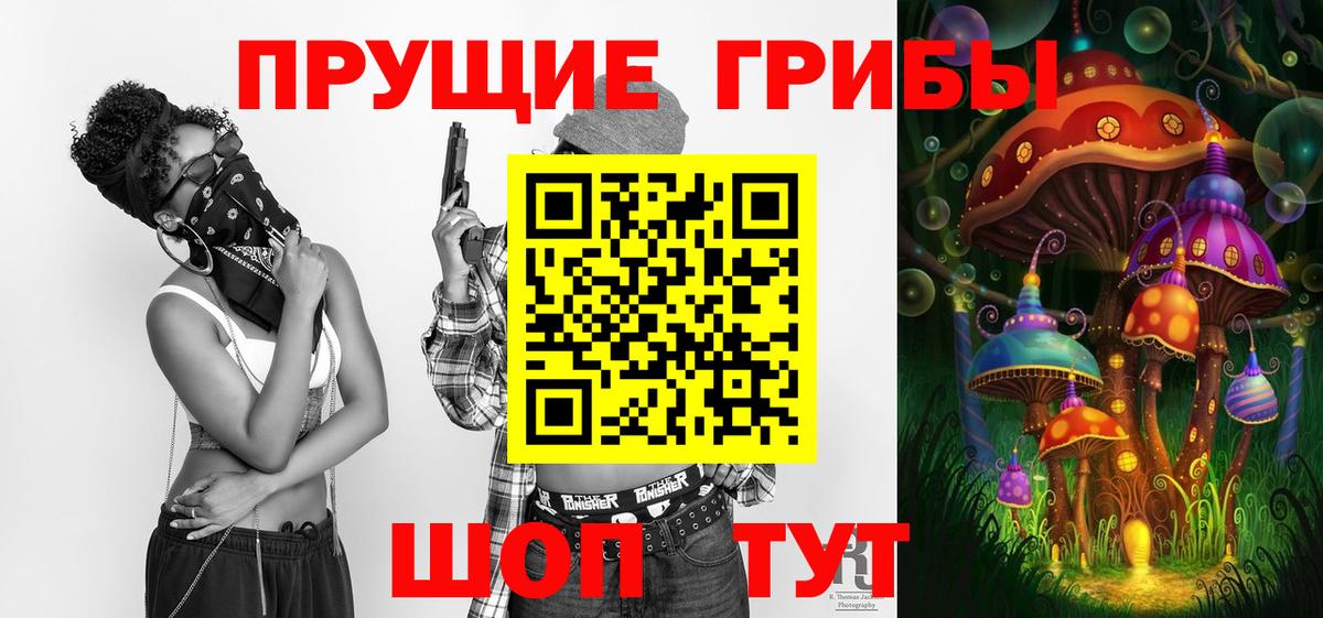 Зерноград  Галлюциногенные грибы прущие грибы  Вход с VPN 