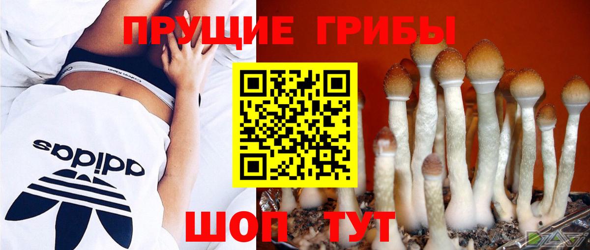 Галлюциногенные грибы мухоморы Зерноград
